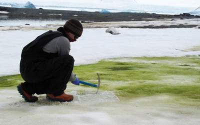 VIDEO Antarctica ar putea...