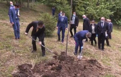 VIDEO Ludovic Orban a plantat un copac... deja plantat