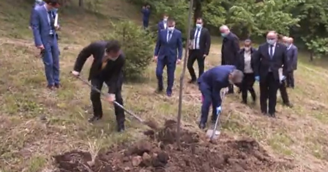 VIDEO Ludovic Orban a plantat un copac... deja plantat