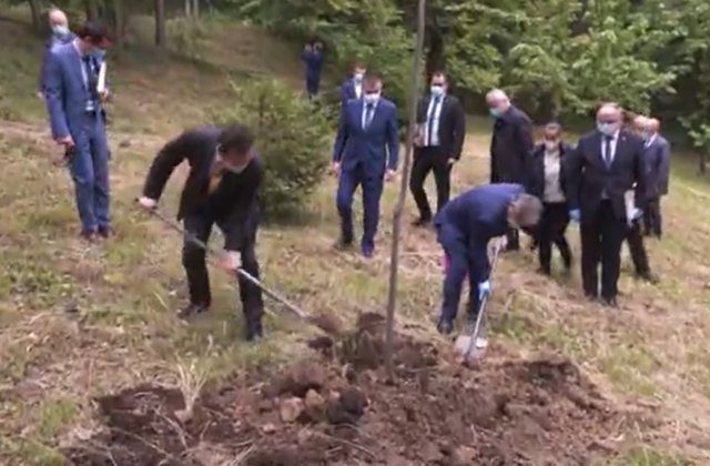 VIDEO Ludovic Orban a plantat un copac... deja plantat