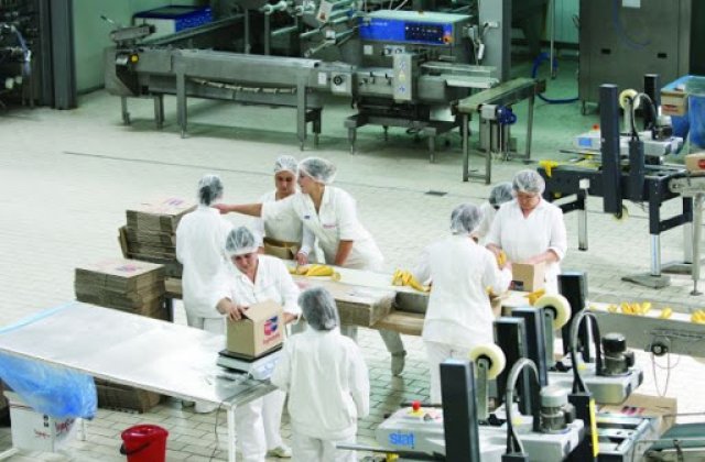 Focar de coronavirus la o fabrică de înghețată din Alba: 47 de persoane au fost testate pozitiv