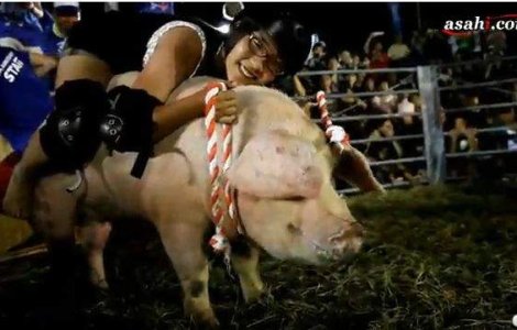 VIDEO: Distractie 100% japoneza: Rodeo cu porci