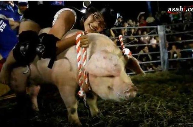 VIDEO: Distractie 100% japoneza: Rodeo cu porci