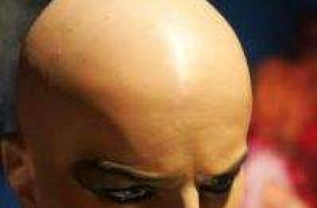 Cum aratau inainte sa-si piarda parul? 10 imagini cu vedete in perioada pre-chelie