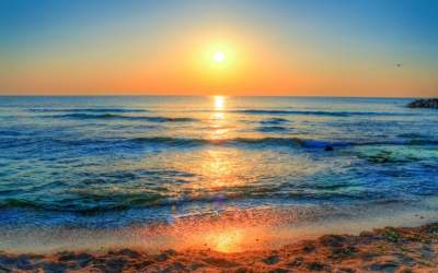 Fost președinte al Colegiului...