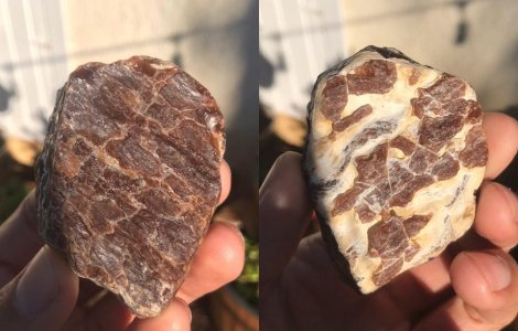  Top  FOTO 15 elemente din natură care par ceea ce nu sunt