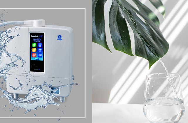 Noblesse Group a lansat Kangen Center România Noblesse