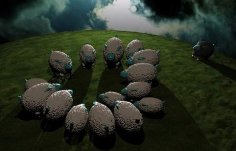 Exces de xenofobie: Cum au ajuns romanii tema de campanie in Germania?