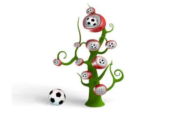 Televiziunile de sport: O nisa neprofitabila, dar ambitioasa