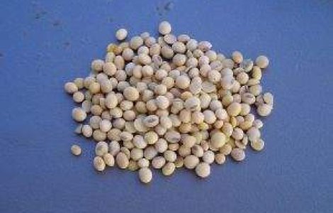 Romania a semnat Declaratia pentru soia nemodificata genetic