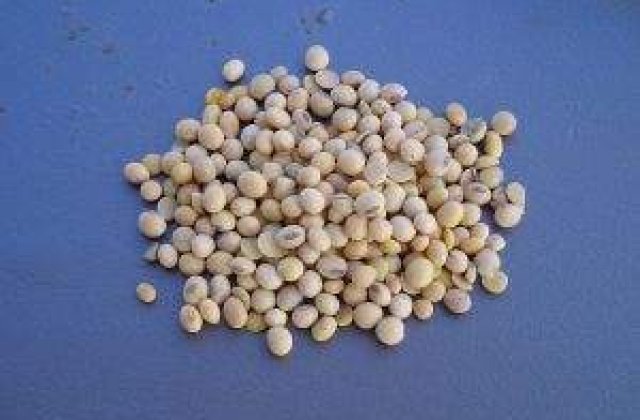 Romania a semnat Declaratia pentru soia nemodificata genetic