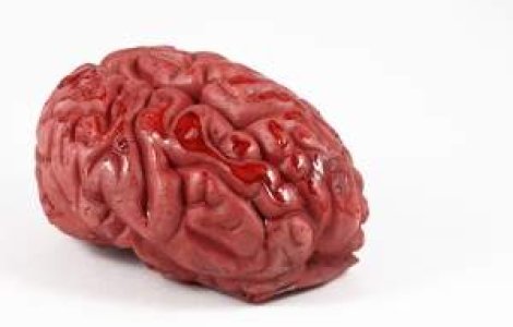 Elementul comun din creierele infractorilor: O zona cerebrala intunecata