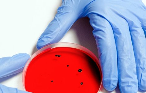 Transplant cu organe create în laborator. Ce înseamă asta pentru omenire