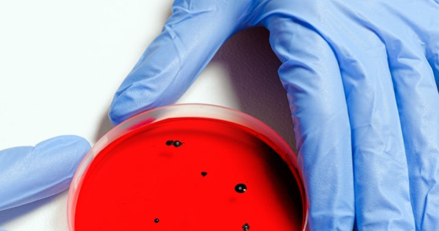 Transplant cu organe create în laborator. Ce înseamă asta pentru omenire