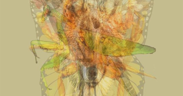  Top  Testul care îți dezvăluie personalitatea. Ce animal vezi prima dată în acest desen?