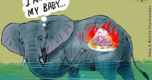 Omagiu elefantului care a murit mâncând un ananas umplut cu explozibili