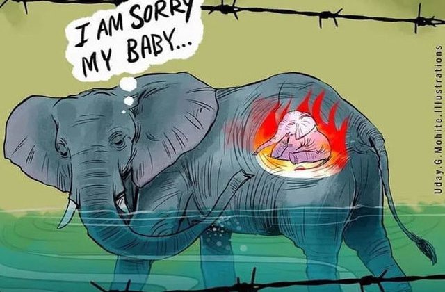 FOTO Mai mulți artiști au adus un omagiu elefantului care a murit m&acirc;nc&acirc;nd un ananas umplut cu explozibili