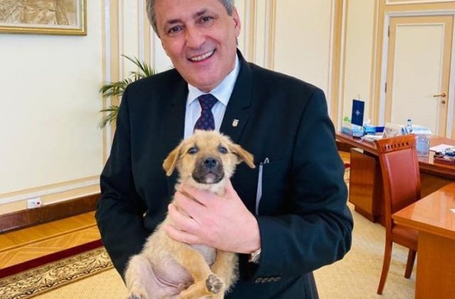Marcel Vela, un mare iubitor de animale. Ministrul l-a adoptat pe Max, câinele care este acum mascota MAI