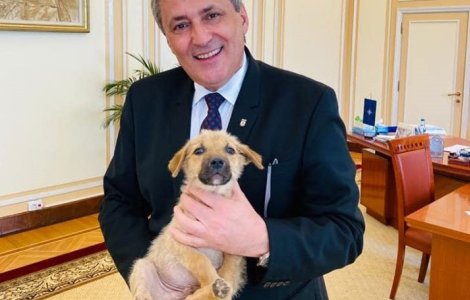 Marcel Vela, un mare iubitor de animale. Ministrul l-a adoptat pe Max, câinele care este acum mascota MAI