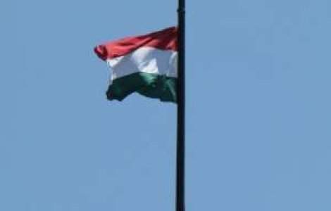 Harghita: Primar amendat dupa ce a arborat un drapel rosu-alb-verde