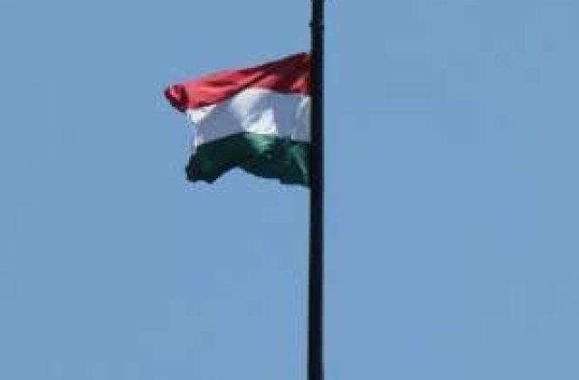 Harghita: Primar amendat dupa ce a arborat un drapel rosu-alb-verde