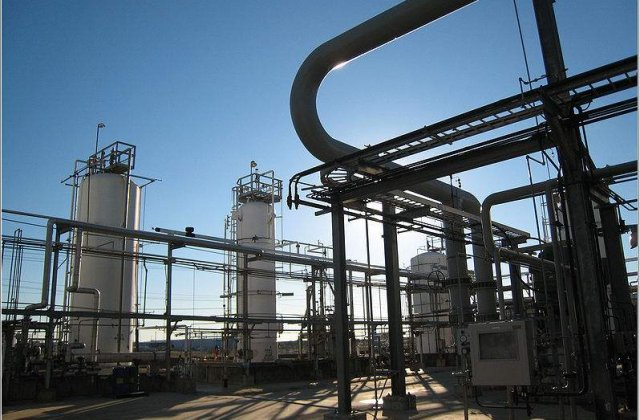 Productia industriala a stagnat anul trecut