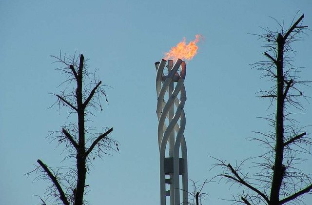 Torta olimpica a ajuns la Cotroceni