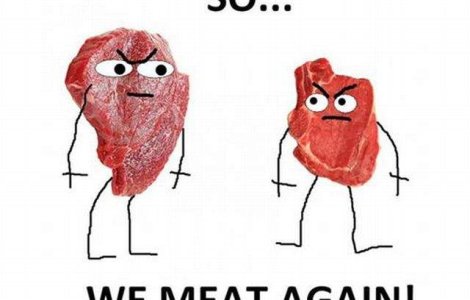 Circuitul "carnii de cal": Principalii actori in aceasta piesa absurda