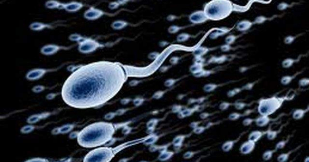 Atacul cu sperma de animale. O "moda" care a renascut in Marea Britanie