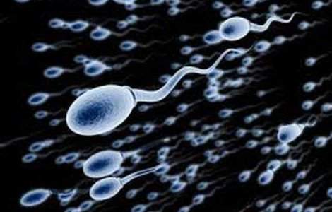 Atacul cu sperma de animale. O "moda" care a renascut in Marea Britanie