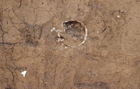 FOTO Mai multe oseminte umane au fost distruse și aruncate