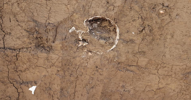 FOTO Mai multe oseminte umane au fost distruse și aruncate