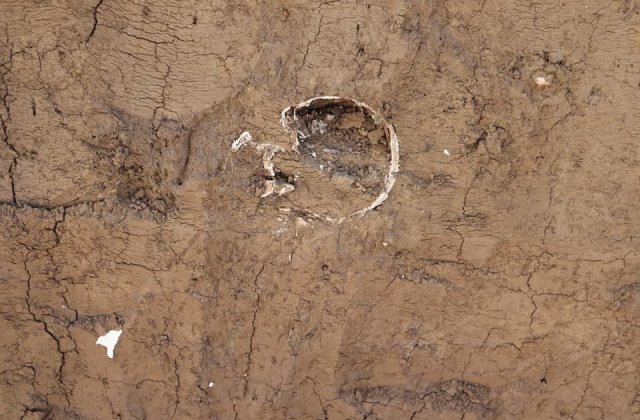 FOTO Mai multe oseminte umane, descoperite în timpul unor lucrări, au fost distruse și aruncate