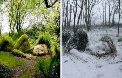 FOTO Sculptura vie din Grădinile Heligan. Cum își schimbă înfățișarea