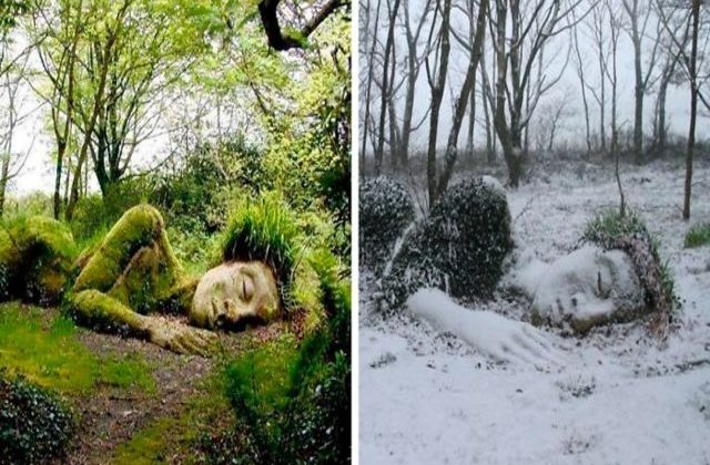 FOTO Sculptura vie din Grădinile Heligan. Își schimbă înfățișarea în funcție de anotimp
