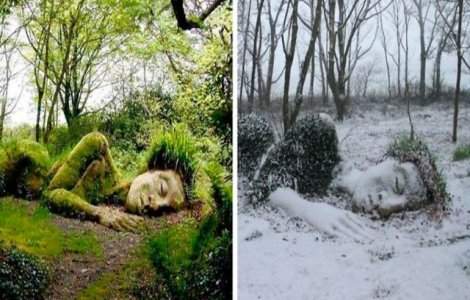 FOTO Sculptura vie din Grădinile Heligan. Își schimbă înfățișarea în funcție de anotimp