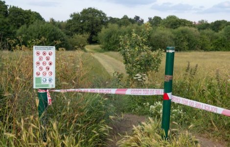 Două surori au murit înjunghiate în tipul unui picnic. Trecătorii credeau că dorm