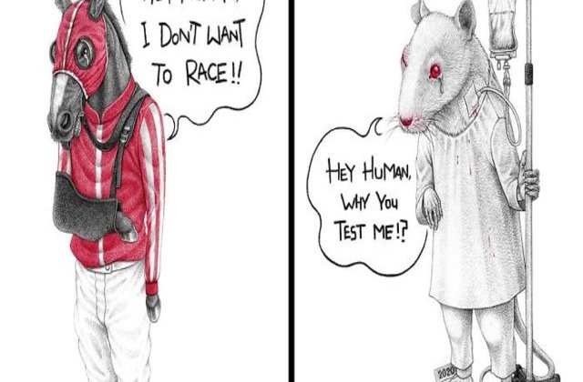 FOTO 10 Ilustrații dure despre chinurile la care supunem animalele