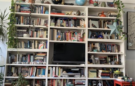 FOTO 50.000 de persoane s-au chinuit să găsească pisica ascunsă în imagine