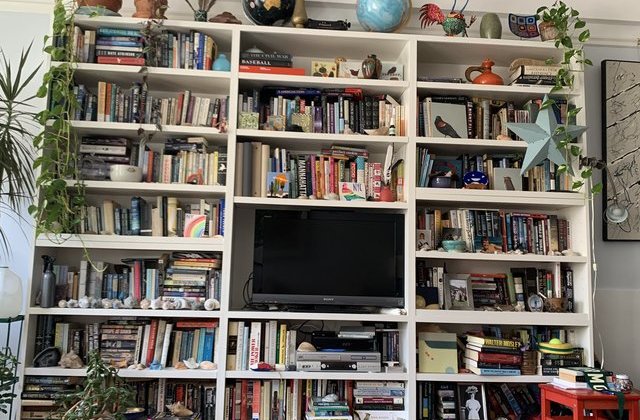 FOTO 50.000 de persoane s-au chinuit să găsească pisica ascunsă &icirc;n rafturile acestei biblioteci. Tu poți?