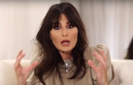 Dana Budeanu - dosar penal pentru instigare la violență