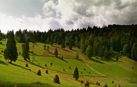 Parcul Natural Apuseni va beneficia gratuit de un film de prezentare din partea Comisiei Europene