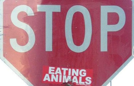 Ziua nationala a vegetarienilor: Redu si tu consumul de carne!