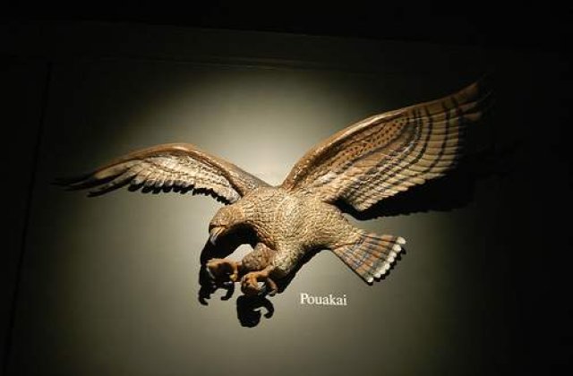 Uriasul vultur mancator de oameni chiar exista