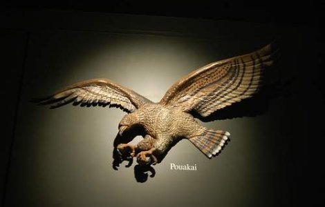 Uriasul vultur mancator de oameni chiar exista