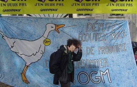 Greenpeace: Dau 1 loc de munca in domenii poluante pentru 7 in energii verzi!