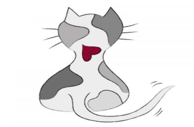 TOP 10: Cele mai "inimoase" animalute