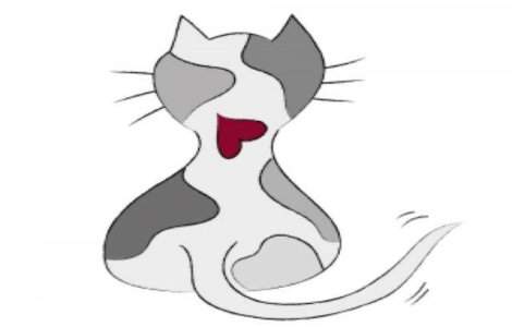  Top  TOP 10: Cele mai "inimoase" animalute