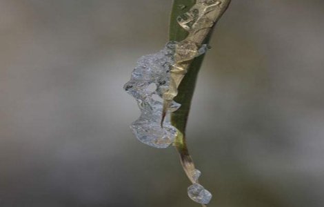 Cea mai scazuta temperatura din tara: - 20,4 grade Celsius, la Intorsura Buzaului