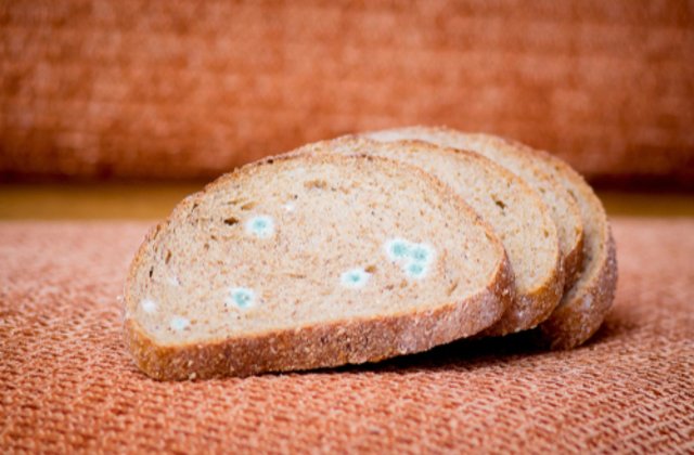 Ce se întâmplă în corpul tău dacă mănânci pâine cu mucegai